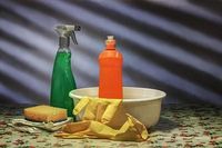 Regular Domestic Cleaning - 25692 suggestions